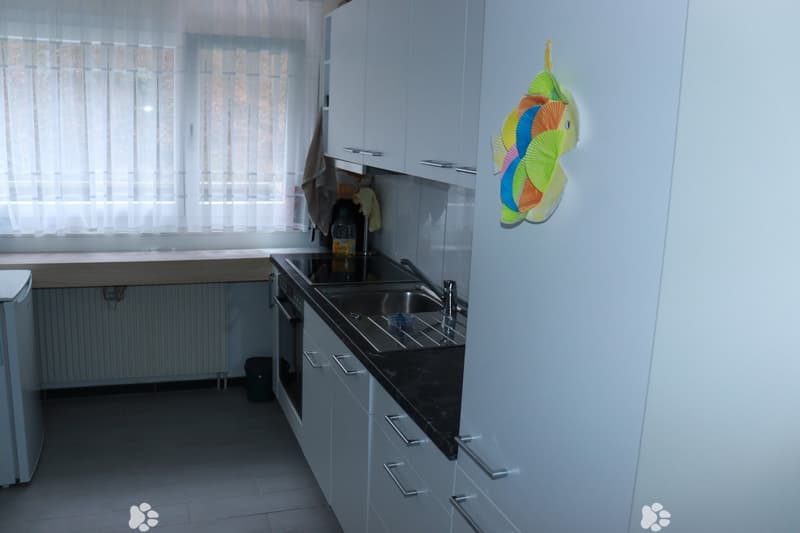 Charmante Erdgeschosswohnung in Matten bei Interlaken (4)