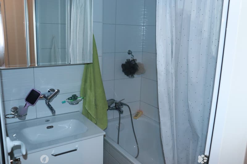 Charmante Erdgeschosswohnung in Matten bei Interlaken (6)