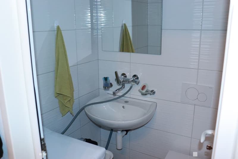 Charmante Erdgeschosswohnung in Matten bei Interlaken (7)
