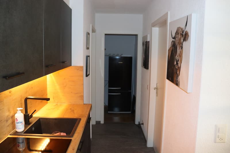 Stilvolle 2.5-Zimmer-Wohnung mit Balkon & 2 Einstellhallenplätzen! (5)