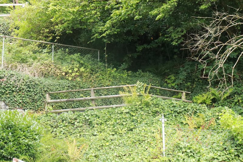 3.5-Zimmerwohnung in Gunten (12)