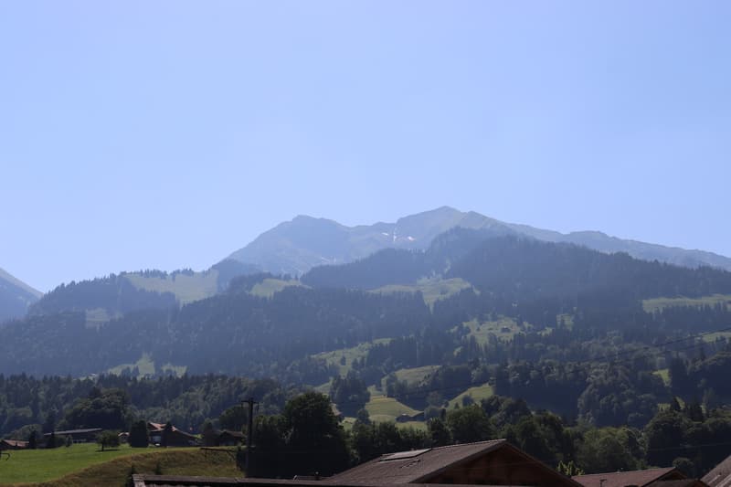 Campinghaus in Oey - Auch als Festwohnsitz möglich (5)