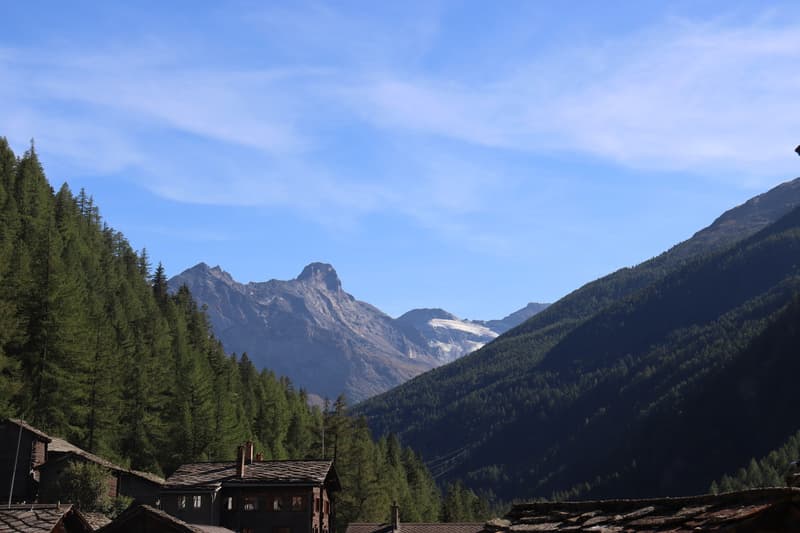 Wohnen mit Bergkulisse und besonderem Charme in Saas-Balen! (4)