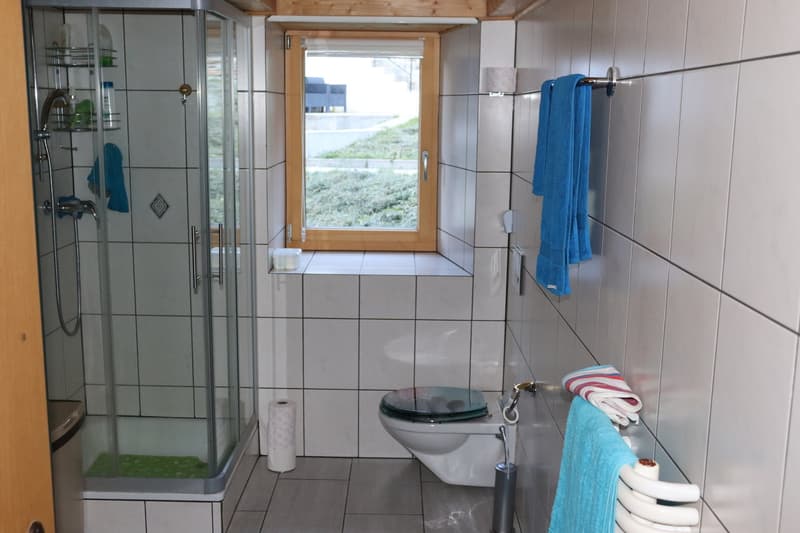 Wohnen mit Bergkulisse und besonderem Charme in Saas-Balen! (12)