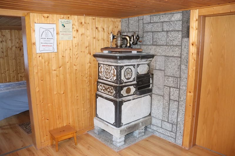 Wohnen mit Bergkulisse und besonderem Charme in Saas-Balen! (7)