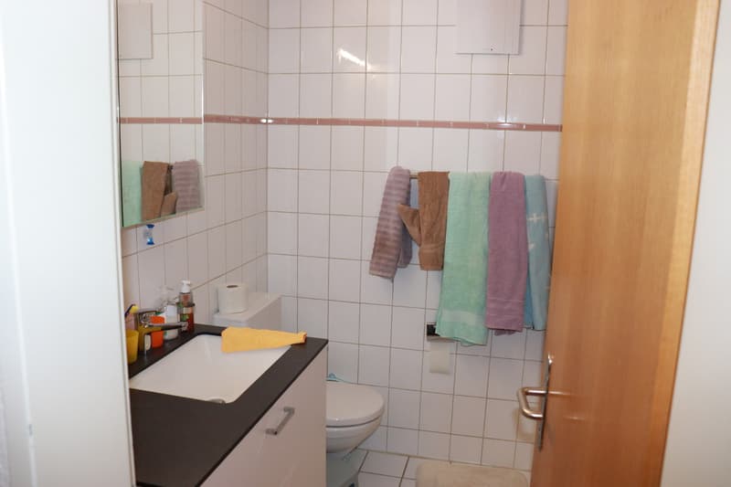 Attraktive Wohnung mit Terrasse und Einstellhallenplatz in Meiringen! (6)