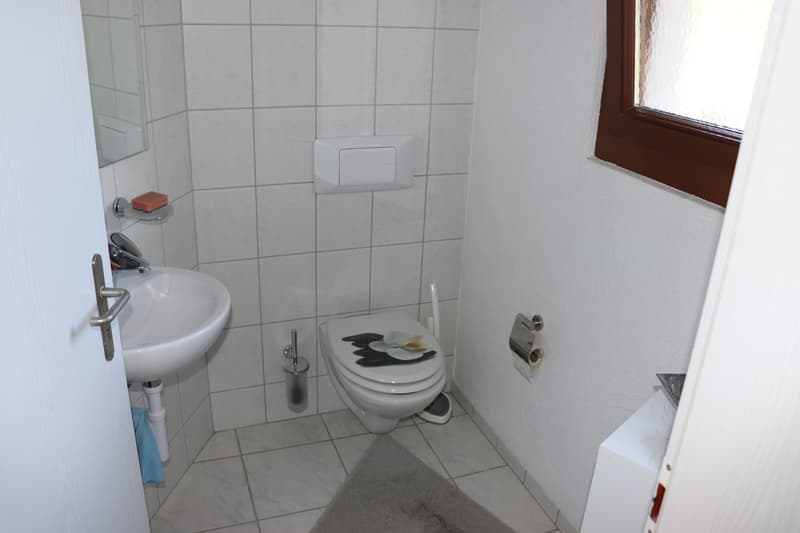 4.5-Zimmer-Eckhaus mit grossem Umschwung und privater Gartenoase! (9)