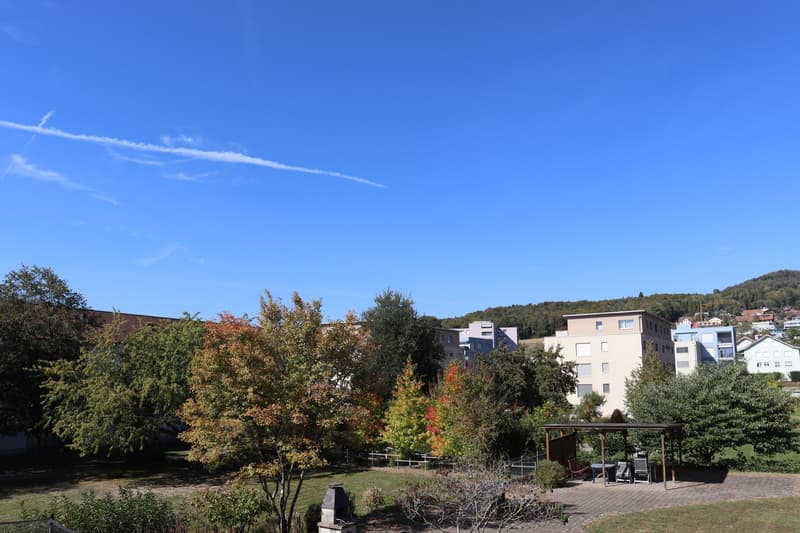 Licht, Raum und Lebensqualität - stilvoll wohnen in Oftringen! (2)