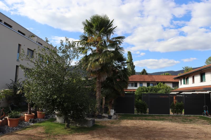 4.5-Zimmer-Eckhaus mit grossem Umschwung und privater Gartenoase! (2)