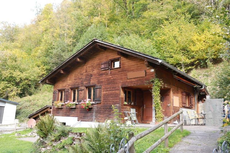 Sonniges Chalet mit Galerie an TOP Lage in Elm! (1)