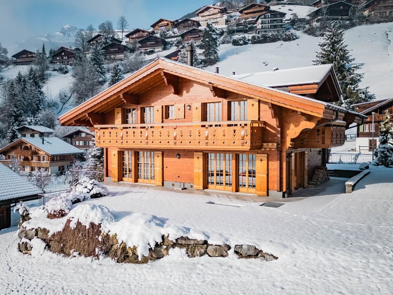 Einfamilienhaus mit atemberaubender Aussicht, Chalet Bavaria (2)