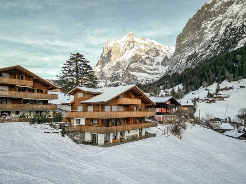 Grindelwald : appartement de vacances calme de 3,5 pièces avec balcon et espace de jardin (18)