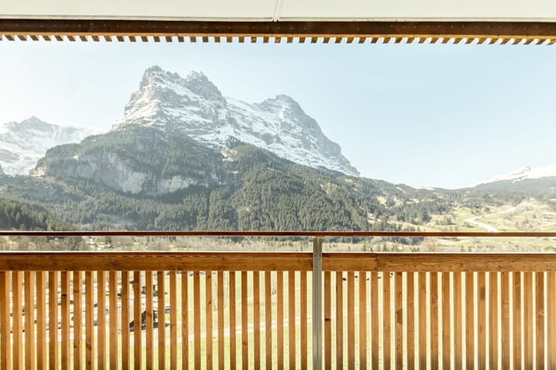 Grindelwald : appartement de vacances calme de 3,5 pièces avec balcon et espace de jardin (12)