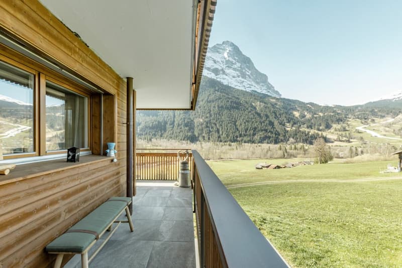 Grindelwald : appartement de vacances calme de 3,5 pièces avec balcon et espace de jardin (16)