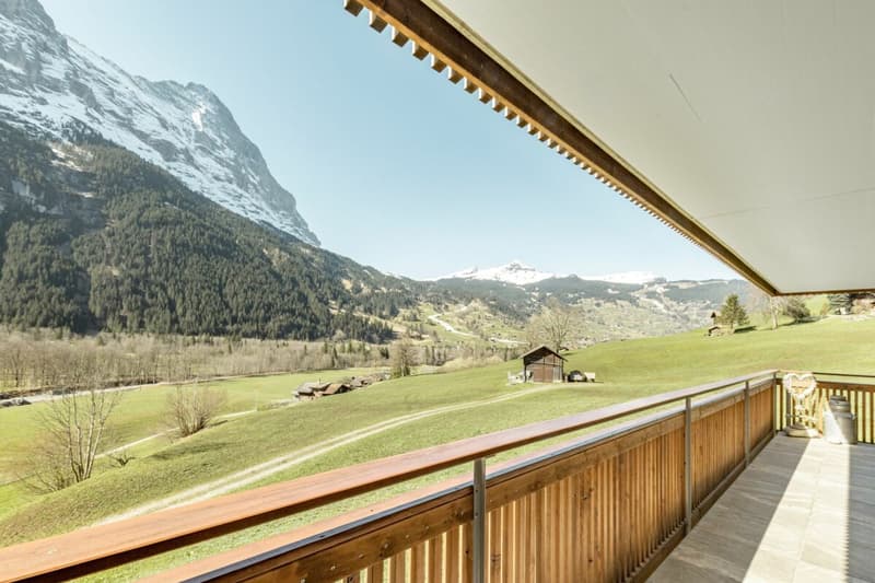 Grindelwald : appartement de vacances calme de 3,5 pièces avec balcon et espace de jardin (15)