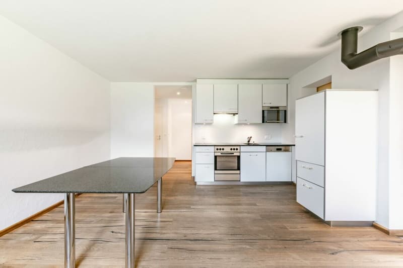Appartement 3.5 pièces avec vue sur les montagnes - Chalet dans le Rutsch (10)