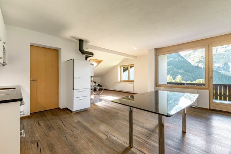 Appartement 3.5 pièces avec vue sur les montagnes - Chalet dans le Rutsch (11)