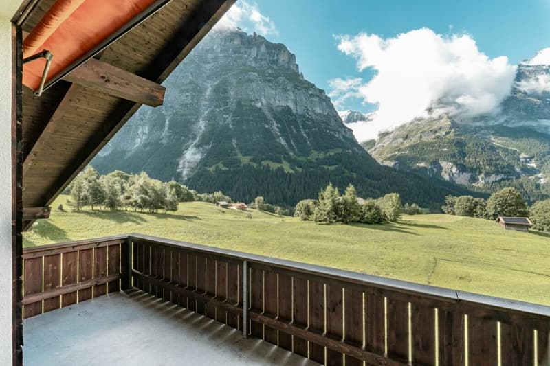 Appartement 3.5 pièces avec vue sur les montagnes - Chalet dans le Rutsch (9)