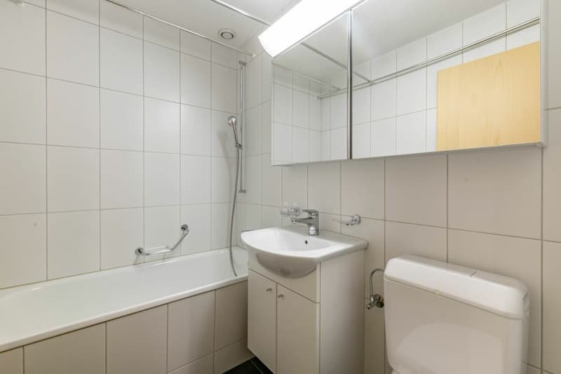 Appartement 3.5 pièces avec vue sur les montagnes - Chalet dans le Rutsch (17)
