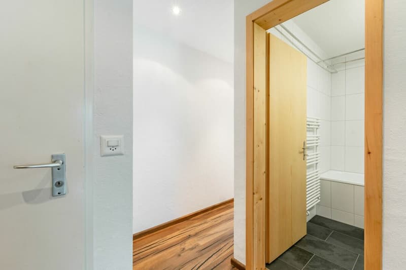 Appartement 3.5 pièces avec vue sur les montagnes - Chalet dans le Rutsch (13)