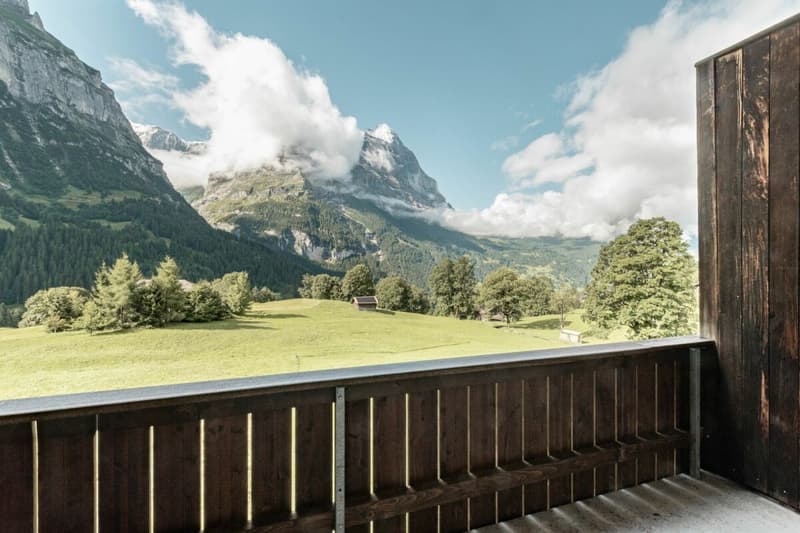 Appartement 3.5 pièces avec vue sur les montagnes - Chalet dans le Rutsch (19)