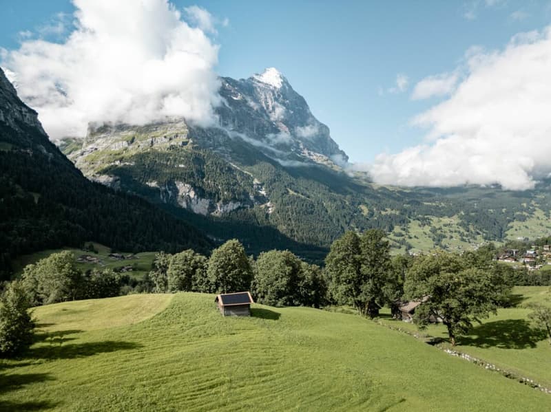Appartement 3.5 pièces avec vue sur les montagnes - Chalet dans le Rutsch (18)