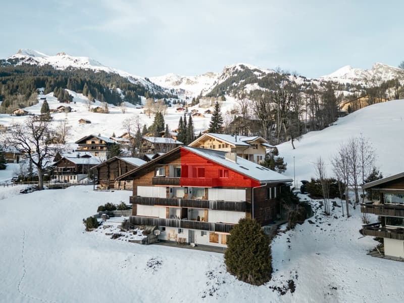 Appartement 3.5 pièces avec vue sur les montagnes - Chalet dans le Rutsch (2)