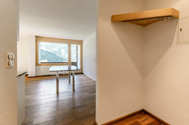 Appartement 3.5 pièces avec vue sur les montagnes - Chalet dans le Rutsch (12)
