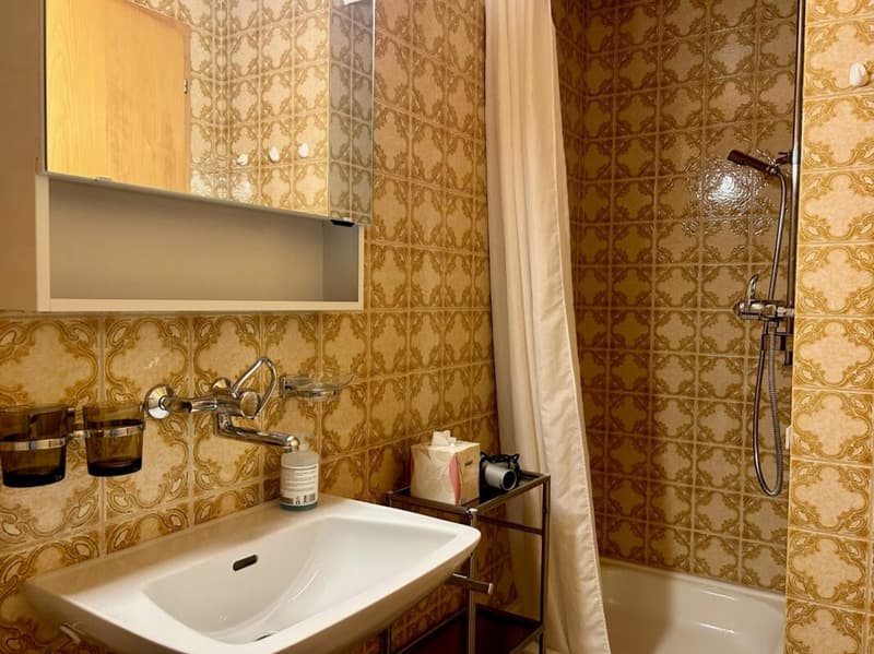 Appartement meublé 3 pièces d'avril - novembre 2026 (8)