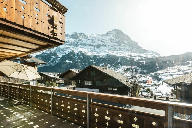 Appartement ensoleillé de 4,5 pièces, Chalet Silberblume (22)