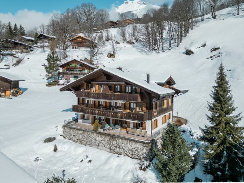 Ampio appartamento di 4,5 locali nel chalet Gemel con vista sulla montagna (20)