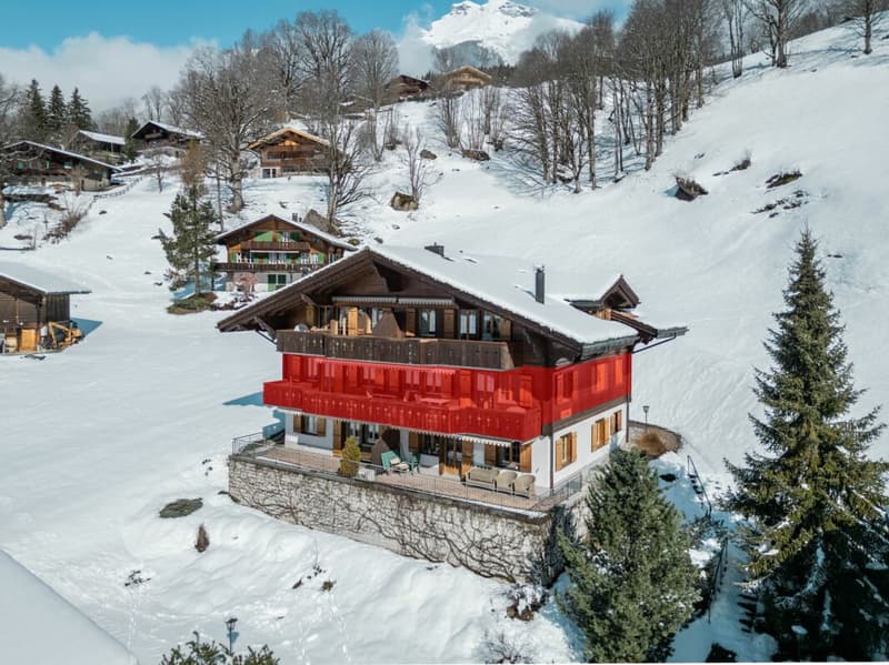 Ampio appartamento di 4,5 locali nel chalet Gemel con vista sulla montagna (2)
