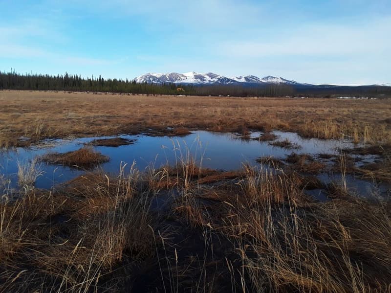 Ranch "Yukon Beauty" in Yukon Territory (14)