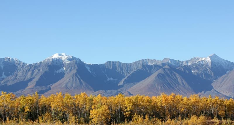 Ranch "Yukon Beauty" in Yukon Territory (16)