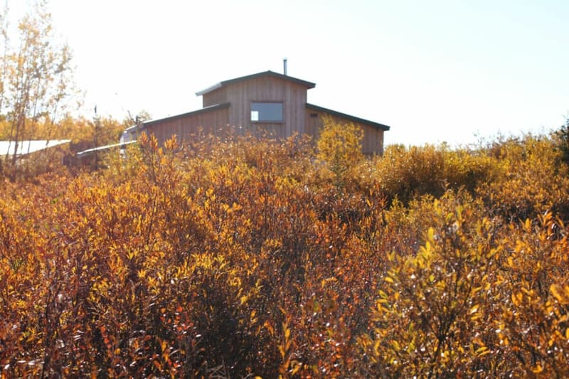 Ranch "Yukon Beauty" in Yukon Territory (13)