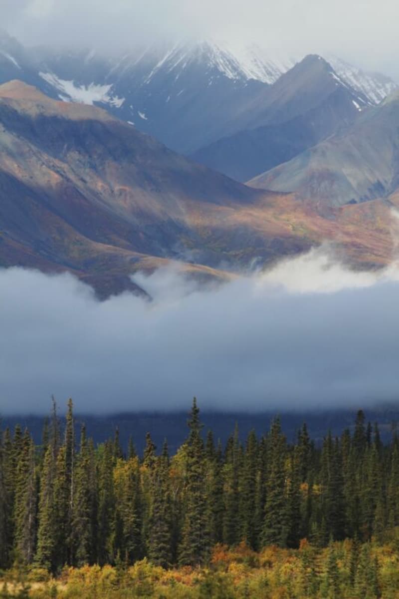 Ranch "Yukon Beauty" in Yukon Territory (17)