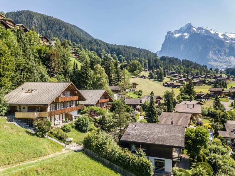 Wohnkomfort mit Pamoramasicht, Chalet in Grindelwald (38)