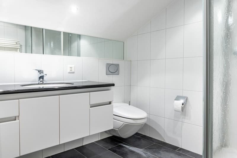Schöne 3.5-Zimmerwohnung mit traumhafter Aussicht zur Dauermiete (10)