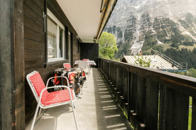 Cozy 1 Bedoom Apartment With Mountain Views In Chalet Eggli (11)