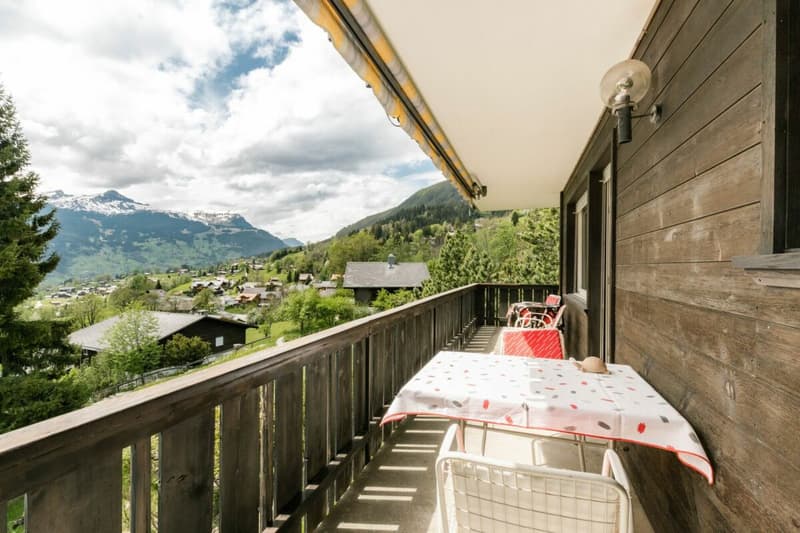 Cozy 1 Bedoom Apartment With Mountain Views In Chalet Eggli (15)