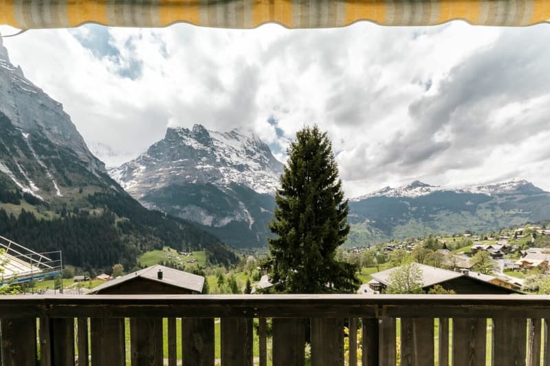 Cozy 1 Bedoom Apartment With Mountain Views In Chalet Eggli (12)