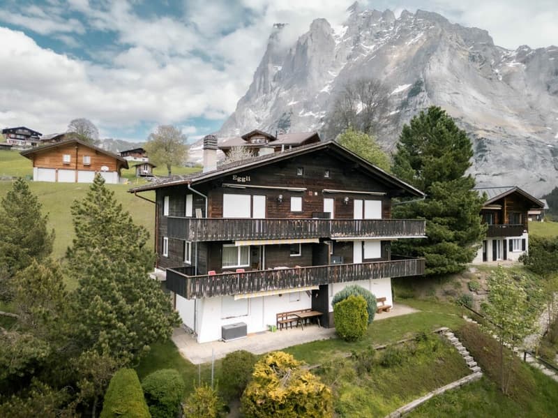 Cozy 1 Bedoom Apartment With Mountain Views In Chalet Eggli (19)