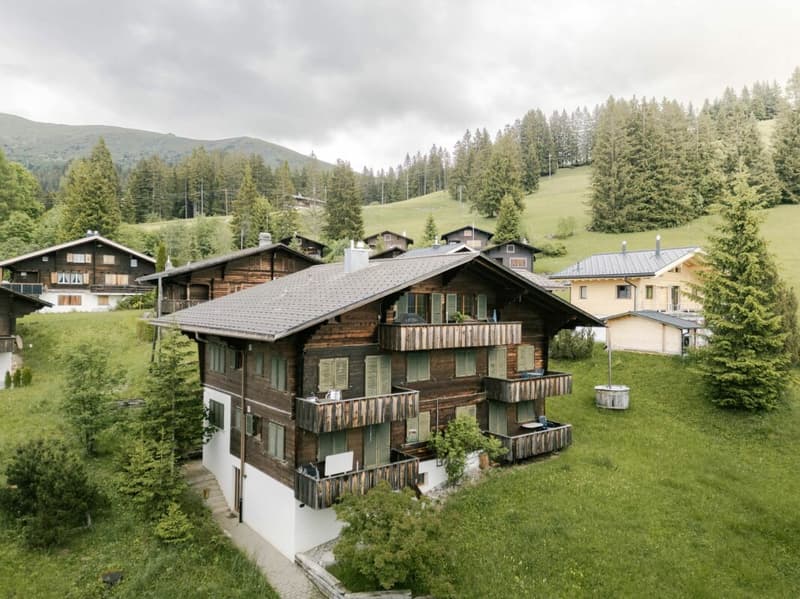 Gemütliche 3.5 Zimmerwohnung an der Lenk (21)