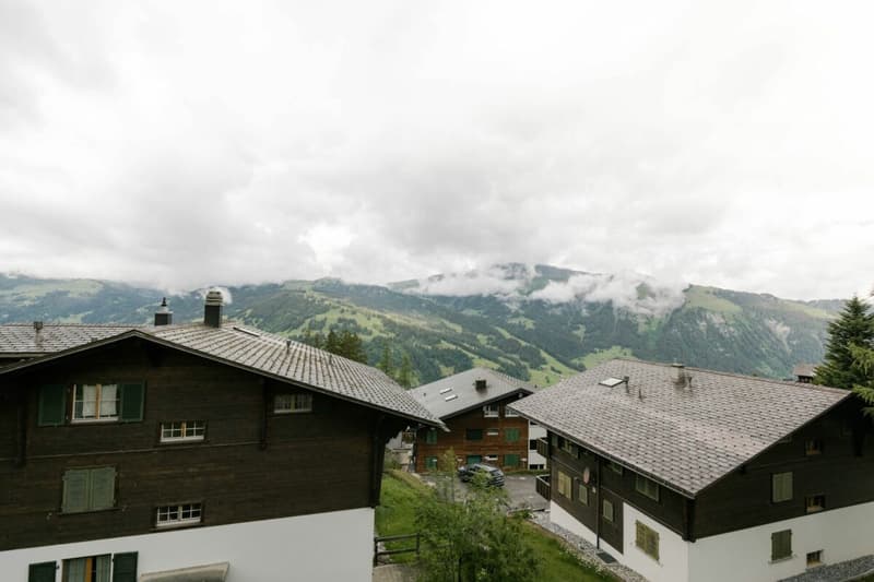 Gemütliche 3.5 Zimmerwohnung an der Lenk (3)