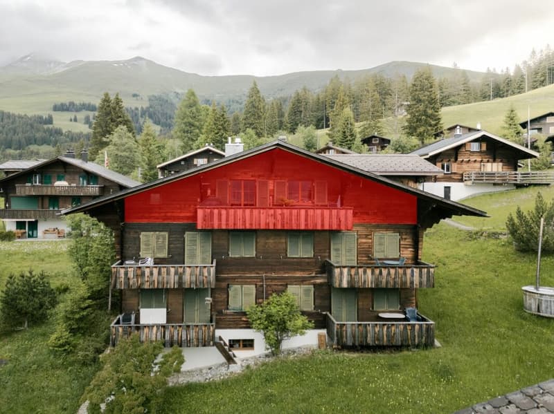 Gemütliche 3.5 Zimmerwohnung an der Lenk (2)