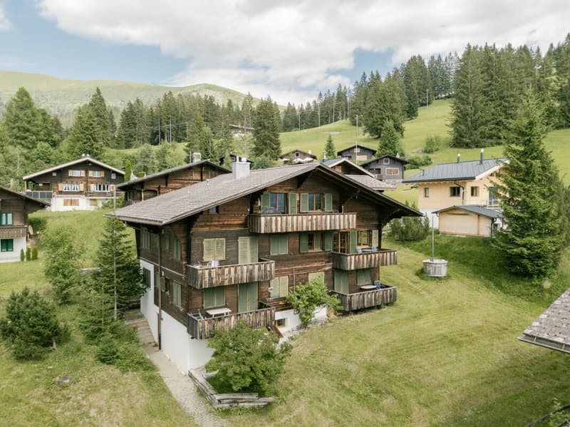 Gemütliche 3.5 Zimmerwohnung an der Lenk (1)