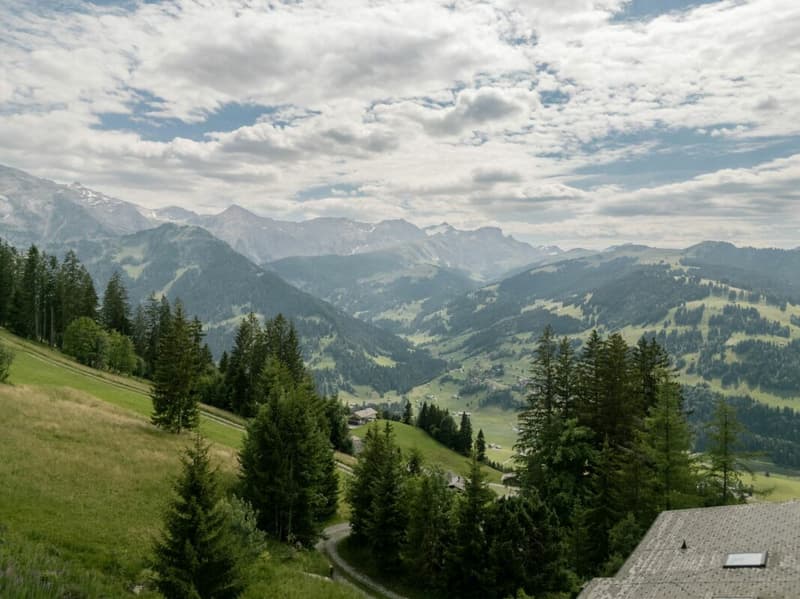 Gemütliche 3.5 Zimmerwohnung an der Lenk (17)