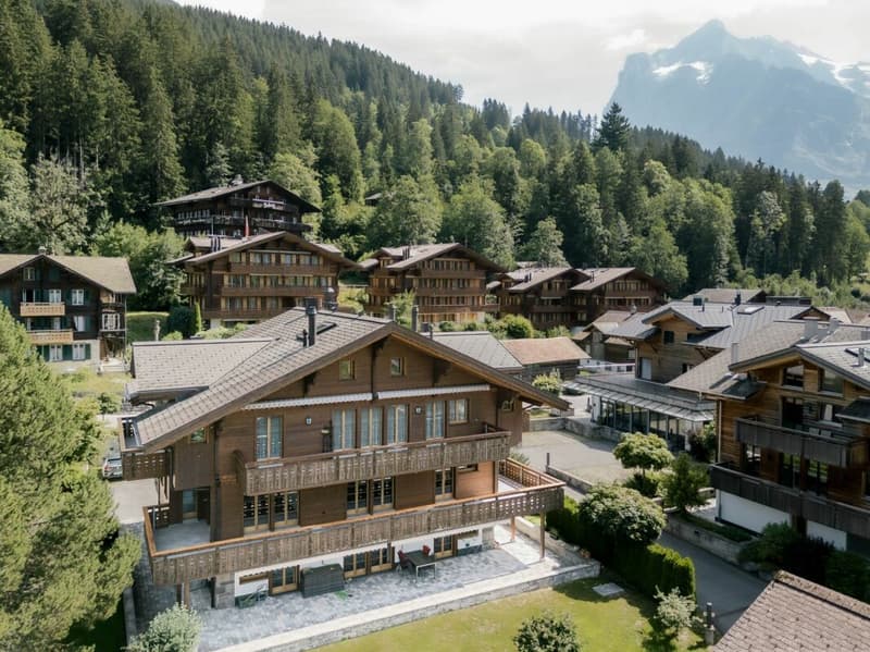 Sonnige 4.5-Zimmerwohnung, Chalet Silberblume (1)