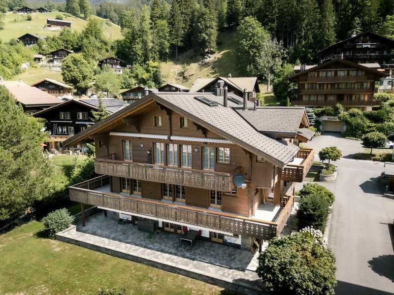 Die exklusive 5.5-Zimmerwohnung mit Galerie, Chalet Silberblume (1)