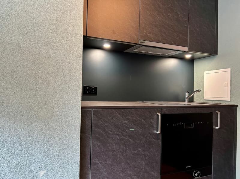 1.5-Zimmerwohnung im Zentrum von Interlaken (4)